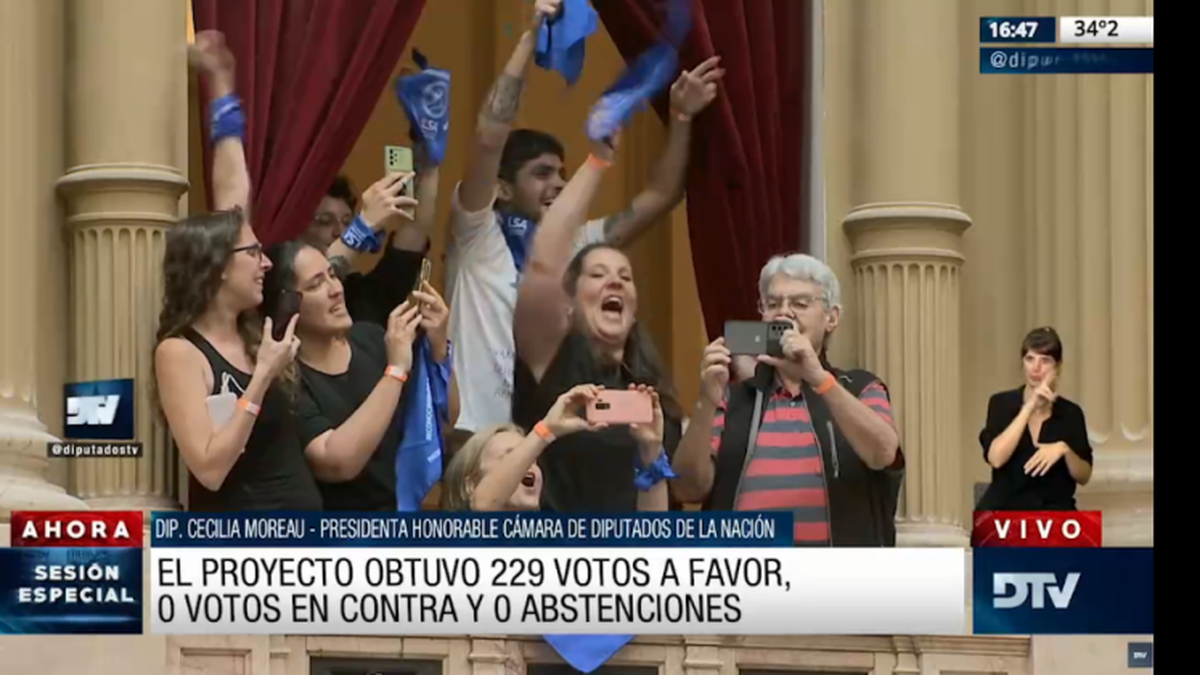 Deputies Recognized Argentine Sign Language and Approved Zero Alcohol Driving