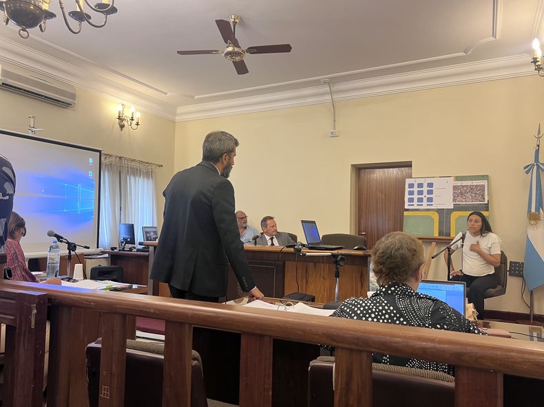Natalia Rojas, la tía de Benjamín, al momento de declarar como testigo en el juicio.