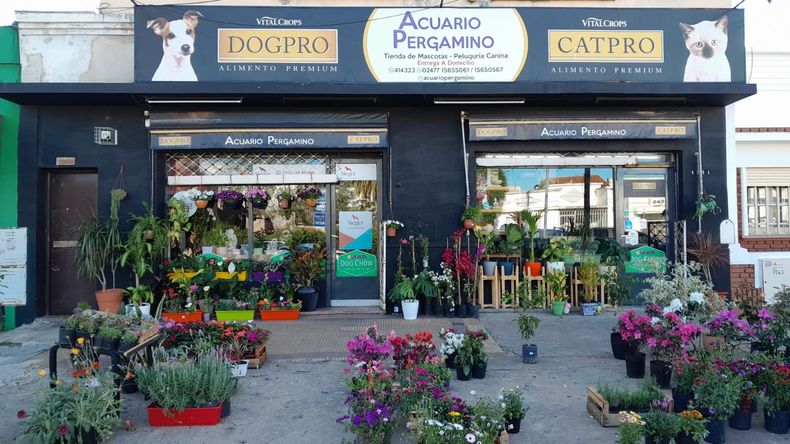 Los encargados del local Acuario Pergamino repusieron los vidrios.