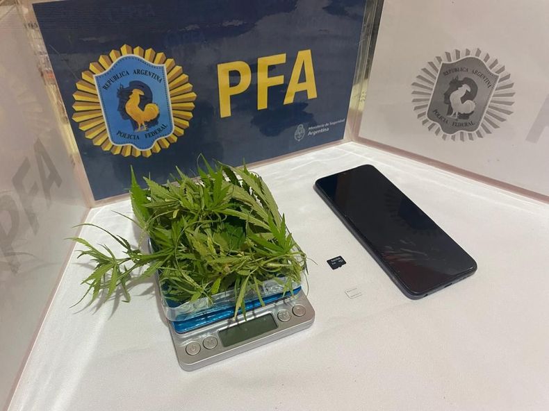 En el operativo secuestraron el teléfono celular, una tarjeta de memoria y una planta de marihuana.