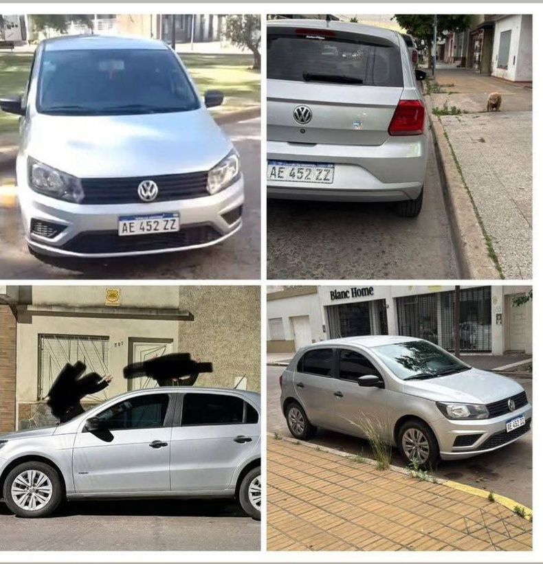 Automóvil Volkswagen sustraído en inmediaciones de Monteagudo y Pinto.
