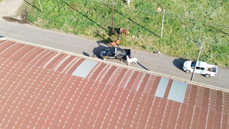 Los drones demostraron ser una buena herramienta tecnológica para la investigación policial y judicial.