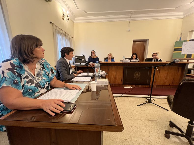 El fiscal Fernando Pertierra pidió 10 años y 8 meses de prisión y la abogada laura Abal requirió una pena de 15 años de cárcel. La defensa solicitó a los jueces la absolución.