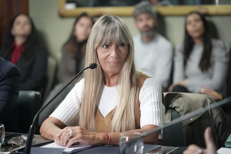 La senadora provincial Laura Clark, presentó el proyecto