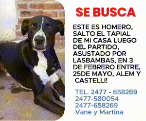 Publicidad