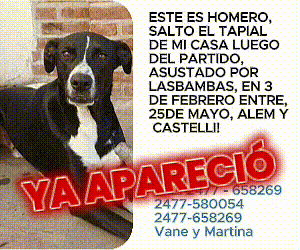 Publicidad