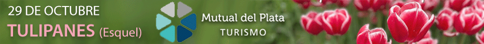 Publicidad