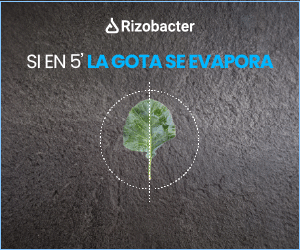 Publicidad