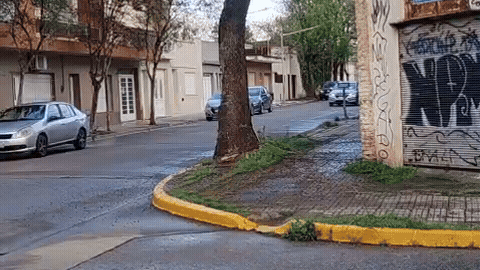 En Echevarría y Estrada aparecieron los cables cortados y caídos.